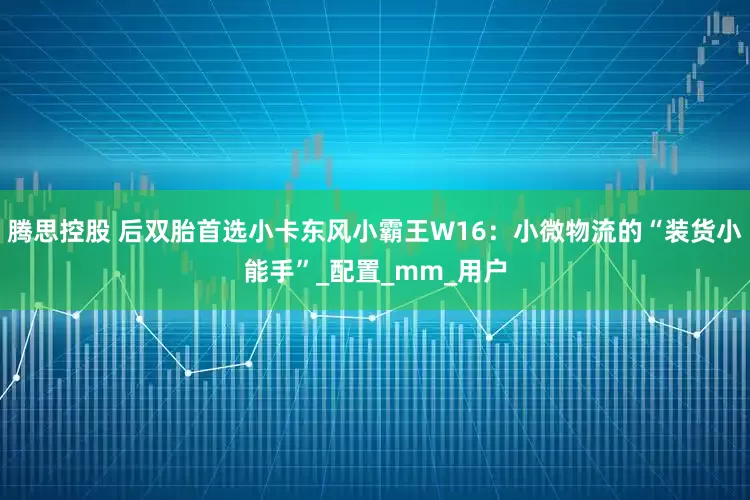 腾思控股 后双胎首选小卡东风小霸王W16：小微物流的“装货小能手”_配置_mm_用户