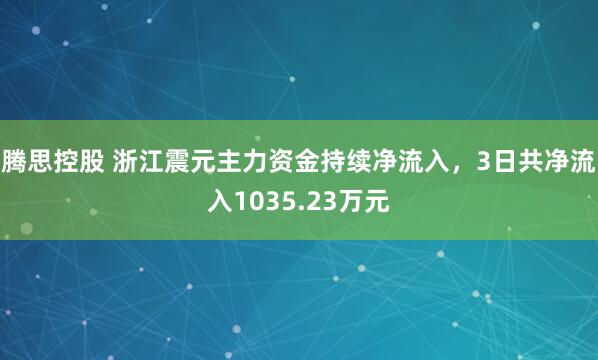 腾思控股 浙江震元主力资金持续净流入，3日共净流入1035.23万元
