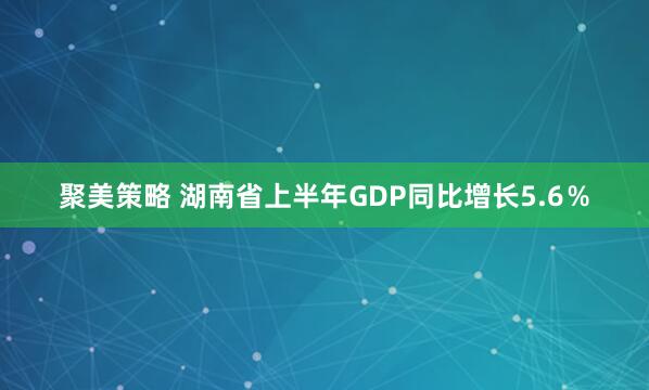 聚美策略 湖南省上半年GDP同比增长5.6％