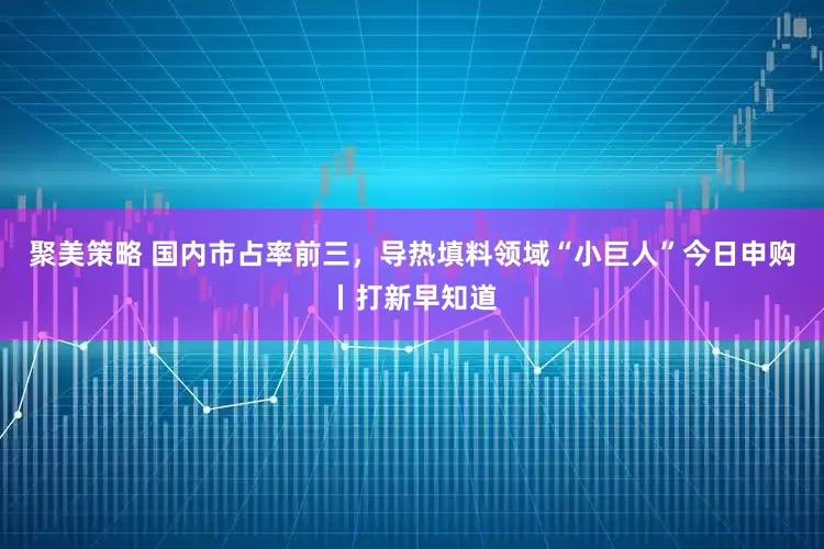 聚美策略 国内市占率前三，导热填料领域“小巨人”今日申购丨打新早知道