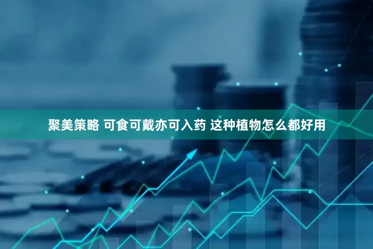 聚美策略 可食可戴亦可入药 这种植物怎么都好用